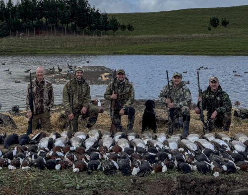 Hunting Game Birds in New Zealand