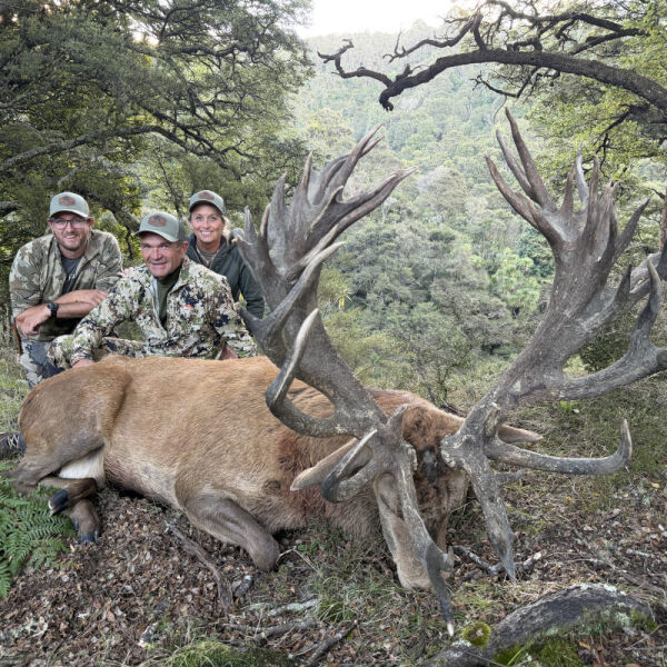 If you are looking for a trip of a lifetime, look no further. This place is the real deal!. 