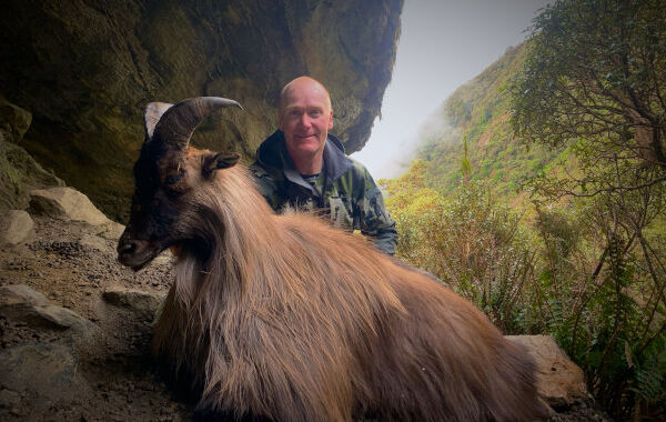 Red Stag & Tahr. 