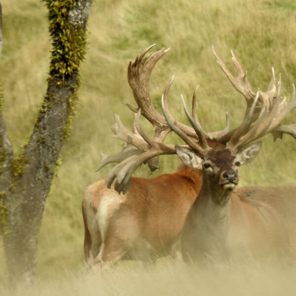 Our Heritage & Vision. 